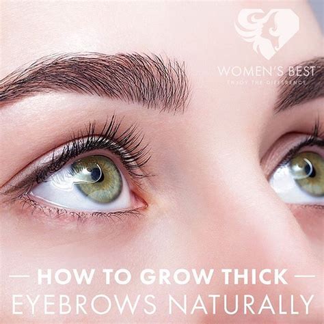 Womens Best On Instagram How To Grow Thick Eyebrows Naturally You