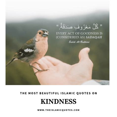 Kindness In Islam 10 Best Islamic Quotes On Kindness