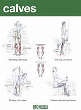 Calf Muscle Exercises Mass