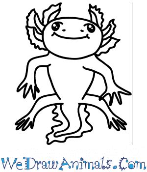 Although colloquially known as a walking fish, the axolotl is not a fish but an amphibian. How to Draw a Cartoon Axolotl