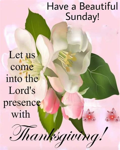 Pin By Olivia Sild On Day Sunday Blessings Good Morning Flowers