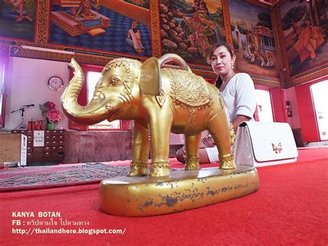 สิ่งที่โดดเด่น คือ เจดีย์ 3 นคร ที่จำลองเจดีย์ศักดิ์สิทธิในจังหวัดต่างๆ ให้ได้สักการะบูชา โดยไม่ต้องเดินทางไกล เหมือน. Thailand here ทริปตามใจ ไปตามทาง: ตลาดน้ำไทรน้อย วัดไทร ...