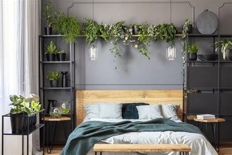 Dennoch wird oftmals davon abgeraten, pflanzen und palmen ins schlafzimmer zu stellen. Pflanzen im Schlafzimmer - 13 gute Gründe | Schlafzimmer ...