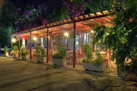 Understanding light and plant needs. How Artificial Plant Lights Will Help Growing Your Plants ...