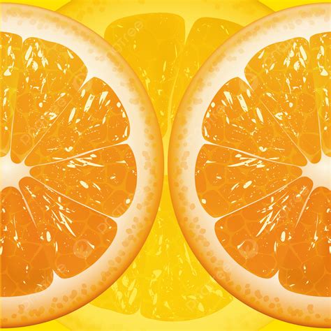 Fresh Oranges Cut Splicing Fruit Background Illustration Vector Orange