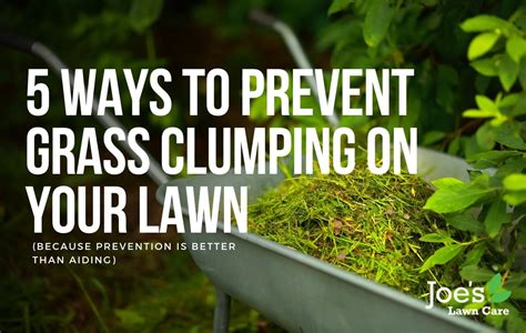5 Ways To Prevent Grass Clumping On Your Lawn Joes Lawn Care