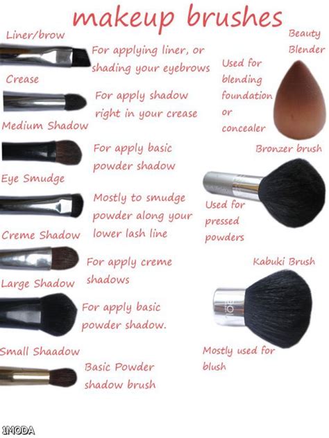 There are many steps to follow within the makeup application process and all those steps require their own brushes. Makeup Brushes and Their Uses - MYLIFENSTYLE.IN