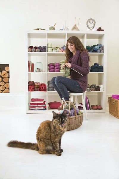 There are hundreds of different varieties with the smaller species (fancy although cats do not bond with humans as strongly as dogs do, they are nonetheless just as loved by everybody, especially children. How Can I Build a Room That My Cats Will Love in My New ...