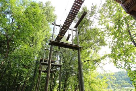 Pigeon Forge Smoky Mountains Rope Obstacle Course Adventure Getyourguide