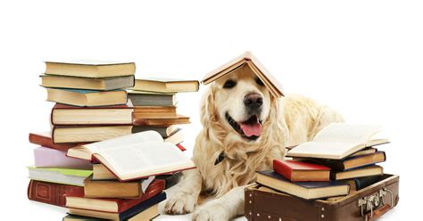 13 Great Books For Dog Lovers Of All Ages Better Reading
