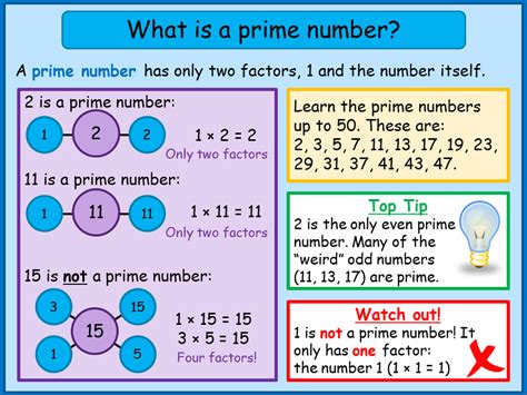 What Is A Prime Number Norledgemaths Prime Numbers Prime And