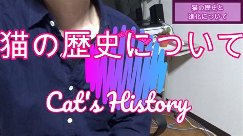 10分で分かる 猫の歴史について説明してみました Cats History 人は猫を飼うと長生きできる Youtube