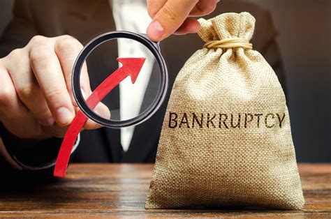 3 Best Bankruptcy Software with Buyers Guide | SaveDelete