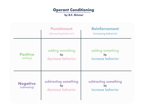 Operant Conditioning Examples And Research Practical Psychology