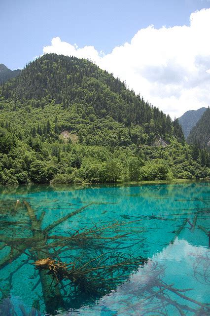 Magical Colours At Five Flower Lake In Jiuzhaigou Its A Beautiful