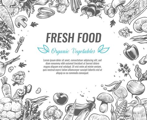 Premium Vector Organic Vegetable Foods Poster