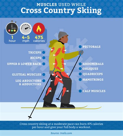 Snowshoeing Or Cross Country Skiing Which To Try Cross Country Skiing Workout Cross Country