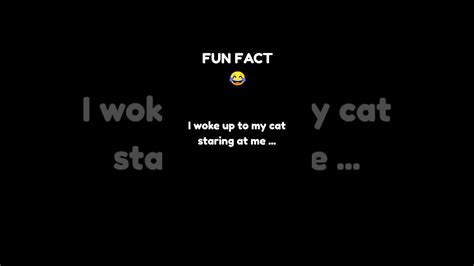 Dont Sleep With Your Cat 😺 Shorts Facts Funny Youtube