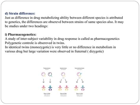 Factors Affecting Drug Metabolism Ppt
