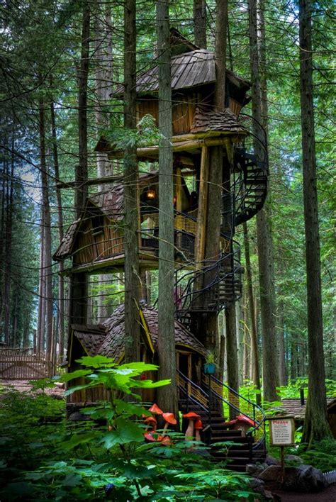 An Enchanted Tree House Cbrajkovich Ramblings
