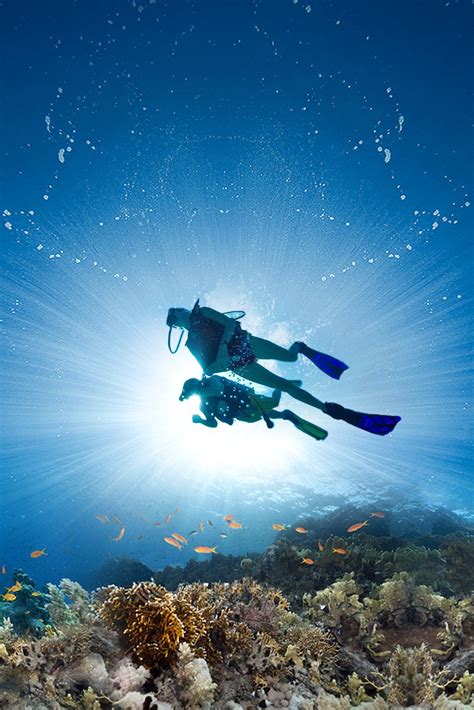 Experience The Magic Of The Caribbean Sea With Scuba Diving At Sandals Resorts Padi Certified