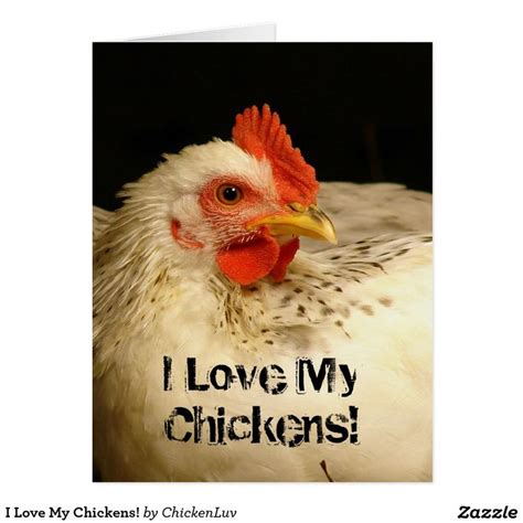 I Love My Chickens Card My Love Cards Love