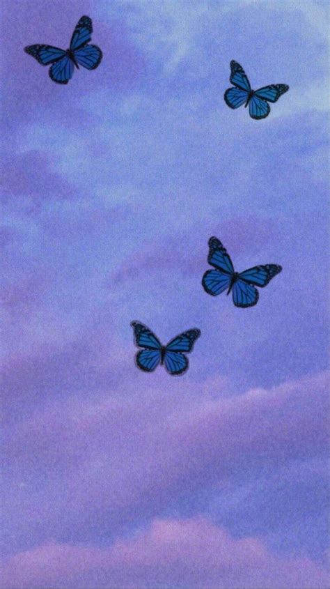 Pastel Vintage Blue Aesthetic Wallpaper Butterfly Pic Road
