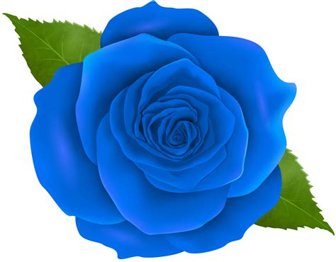 Free Blue Rose Cliparts, Download Free Blue Rose Cliparts png images png image