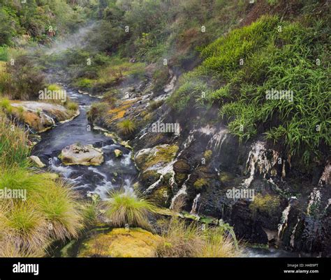Hot Springs Waimangu Volcanic Valley Rotorua Bay Of Plenty North