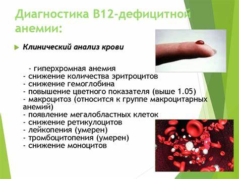 Витамин В-12. Дефицитная анемия - презентация онлайн Картинка - Витамин В-12. Дефицитная анемия - презентация онлайн
