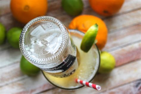 Последние твиты от nat'l margarita day (@margaritaday). Frosty Mexican Bulldog Margarita Recipe - Page 4 of 5 ...