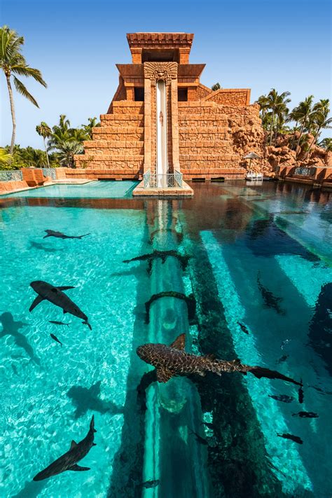 Atlantis Bahamas Paradise Island - VetVacation CE 2024
