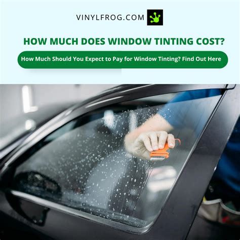 15 Percent Window Tint Vinylfrog