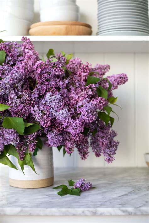We've got all the answers. How to Arrange an Overflowing Bouquet of Lilacs & Keep ...