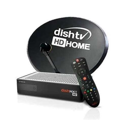 Dish Tv Hd Dishtv Dth Set Top Box Rs 2250 Box Omm Dth Services Id