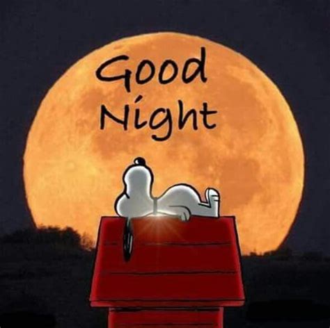 Good Night Good Night Snoopy Good Night Friends Snoopy Love Good