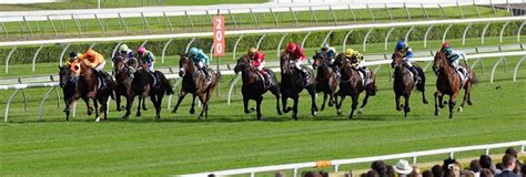 Randwick Racing Tips Saturday August 1st Before You Bet