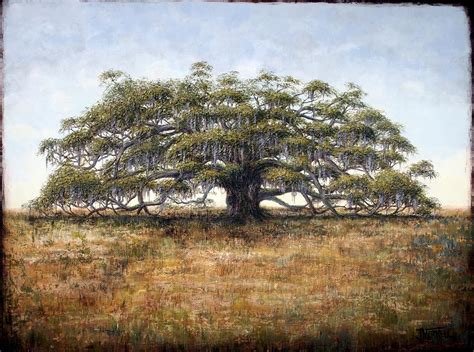 The Old Oak Tree Painting By Judy Merrell