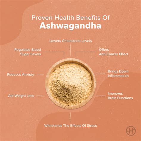 Ashwagandha Benefits Side Effects And How To Consume Healthfiyme