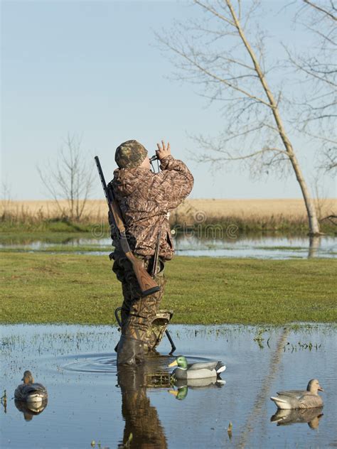 Duck Hunter Calling Ducks Stock Photo Image Of Shooting 37217174