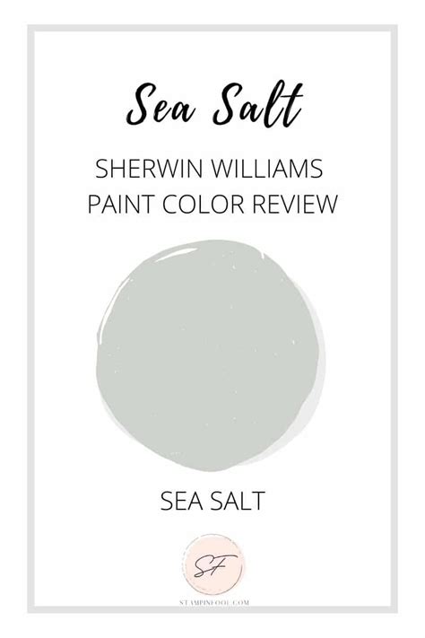 Sherwin Williams Sea Salt Paint Color Review With Undertones