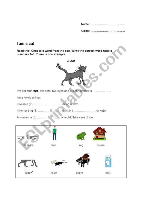 I Am A Cat Esl Worksheet By Sch716