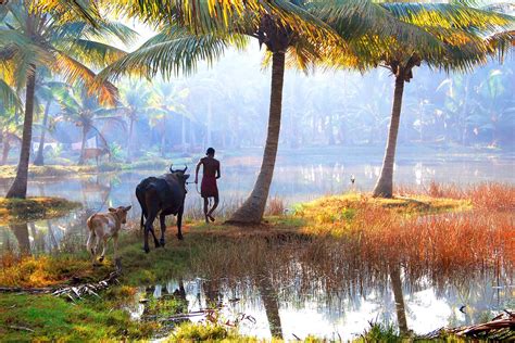 What Makes Kerala An Ultimate Travel Destination
