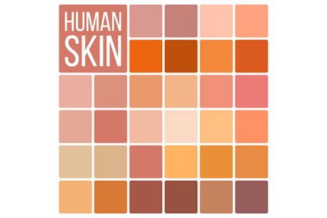Human Skin Vector Various Body Tones Chart Realistic Texture Palette