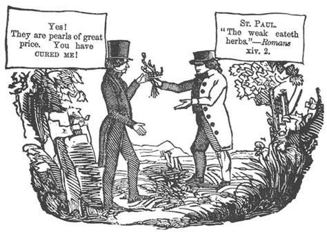 1800s Political Cartoons