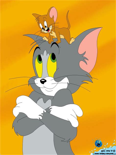 Tom And Jerry Funny Wallpapers Wallpaper Cave