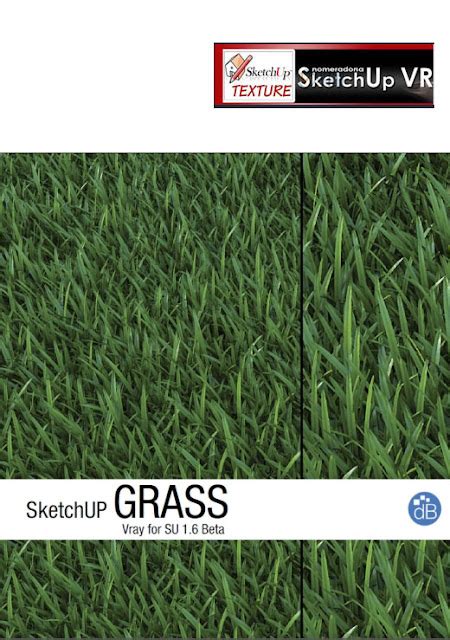 Nomeradona Sketchup Vr Grass Workflow And Vray Proxy By David Brufau