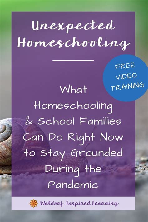 What Homeschooling Families Can Do Right Now To Stay Grounded During
