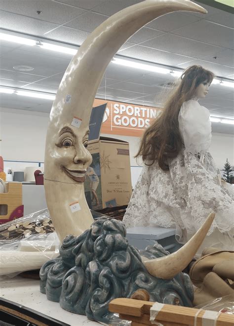 Extremely tempting... but catch and release : r/ThriftStoreHauls