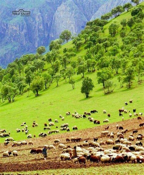 Pin By Angela Smith On Nature Scenes Of Kurdistan Nature Scenes